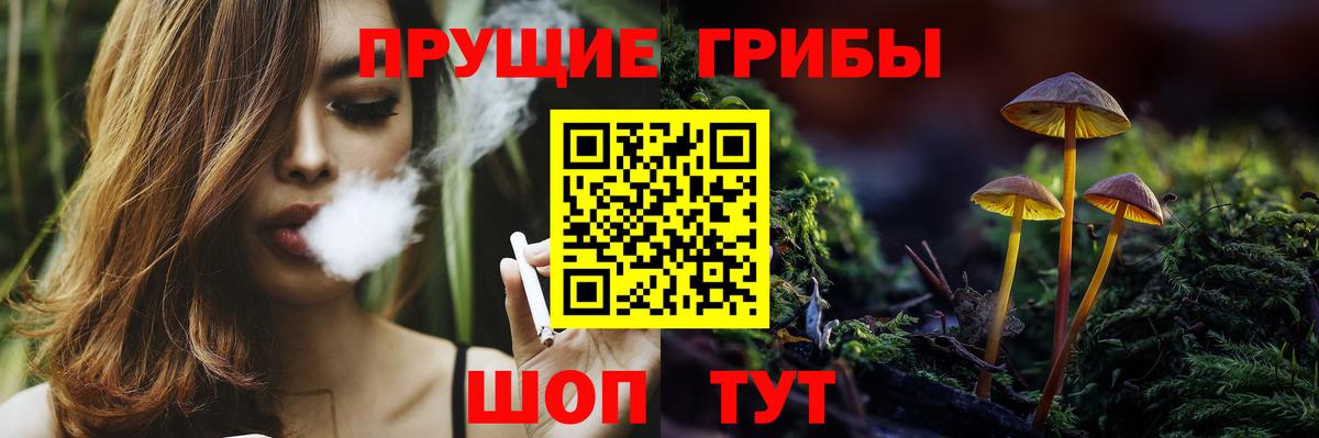 Псков  Галлюциногенные грибы мухоморы  Вход с VPN  Галлюциногенные грибы мицелий 