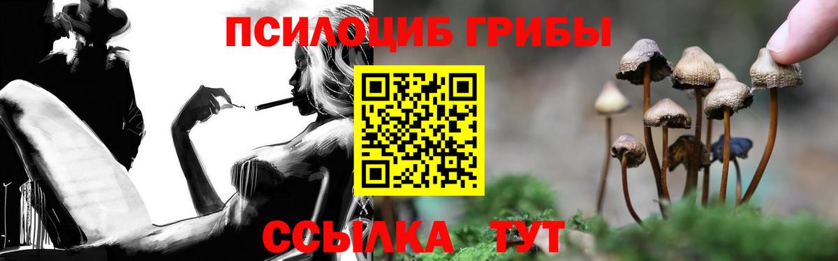 Галлюциногенные грибы Cubensis Псков